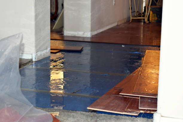 Professional Basement Flood Cleanup technician working in Buckingham, FL